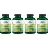 Swanson Premium Lactobacillus Acidophilus 4 Pack Supplement Vitamin 1 Billion CFU 250 Caps Probiotics