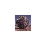 Anthrax - Stomp 442 (Vinyl)