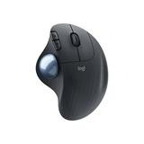 Logitech Wireless Optical Mouse, Graphite (910-006197)