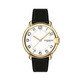 Women's Arden Yellow Goldtone Stainless Steel & Leather-Strap Analog Watch - Black
