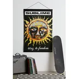 Sublime 40oz. To Freedom Poster