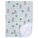 Storybook Bear Organic Cotton Reversible Soft Baby Blanket