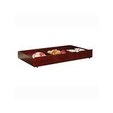 Furniture of America Trundle Beds Cherry - Cherry Transitional Ruacana Twin Trundle