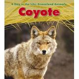 Coyote