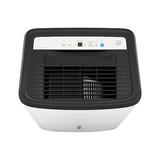 FRIGIDAIRE FFAP5033W1 Office Dehumid,229cfm,16.9pt,White