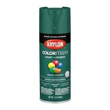 Krylon® COLORmaxx™ Satin Paint + Primer in Hunter Green | 12 | Michaels®