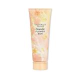 Body Care Limited Edition Into The Clouds Fragrance Lotion - Women's - Victoria's Secret Beauty