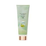 Body Care Limited Edition Elemental Escape Fragrance Lotion - Women's - Victoria's Secret Beauty