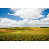 Gracie Oaks Plains of Alentejo, Portugal by Nolexa - Wrapped Canvas Photograph Canvas, Wood in Blue/Green, Size 8.0 H x 12.0 W x 1.25 D in | Wayfair