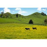 Gracie Oaks Two Cows Crossing Field by Brianscantlebury - Wrapped Canvas Photograph Canvas, Wood in Blue/Green, Size 12.0 H x 18.0 W x 1.25 D in