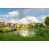 Gracie Oaks Housing Estate Along A Pond Canvas, Wood in Blue/Green, Size 8.0 H x 12.0 W x 1.25 D in | Wayfair E9374FD5155A4128838D9A9DFEFB7EAC