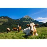 Gracie Oaks Cows in the Mountains - Wrapped Canvas Photograph Canvas, Wood in Blue/Green/White, Size 12.0 H x 18.0 W x 1.25 D in | Wayfair