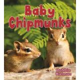 Baby Chipmunks