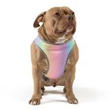 Canada Pooch Rainbow Chill Seeker Cooling Dog Vest, Medium, Multi-Color