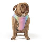 Canada Pooch Rainbow Chill Seeker Cooling Dog Vest, Small, Multi-Color