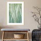 Latitude Run® Abstract of Beach Rye Grass - Single Picture Frame Photograph Paper, Wood in Green, Size 33.0 H x 24.0 W x 1.0 D in | Wayfair