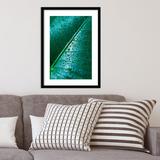 Latitude Run® Water Drops on Elephant Ear Leaf by - Single Picture Frame Photograph Paper, Wood in Green/White, Size 25.0 H x 19.0 W x 1.0 D in