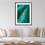 Latitude Run® Water Drops on Elephant Ear Leaf by - Single Picture Frame Photograph Paper, Wood in Green/White, Size 41.0 H x 30.0 W x 1.0 D in