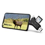 BlazeVideo USB SD Card Reader & Micro SD Memory Card Reader for iPhone Android iPad Mac PC Laptop Smartphone View Photo & Video from Trail Camera Action or IP Camera Sport or Digital Camera