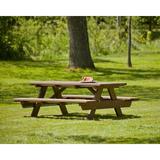 POLYWOOD® Park 65" Long Picnic Table in Brown, Size 29.25 H x 65.0 W x 72.0 D in | Wayfair PT172TE