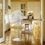 Lasko 16" Oscillating Standing Fan in White/Black, Size 47.0 H x 17.0 W in | Wayfair 2521