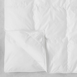 Lila Down Comforter Queen