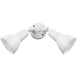 Millennium Lighting 2 Light Flood Lights