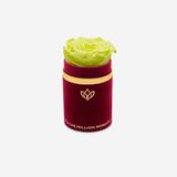 Single Bordeaux Suede Box | Canary Yellow Rose