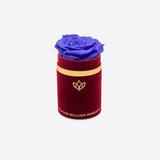 Single Bordeaux Suede Box | Violet Rose