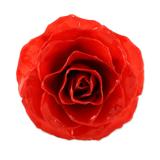 Rosy Mood in Red,'Artisan Crafted Natural Rose Brooch in Red from Thailand'