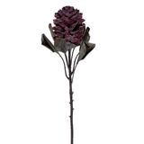 Vickerman 743287 - 22" Light Red Dried Ginger Stem 3/Bag (FMA230203) Home Office Flowers with Stems