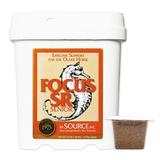 FOCUS SR
