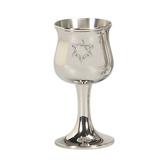 Israel Giftware Design Pewter Kiddush Cup Pewter in Gray, Size 5.0 H in | Wayfair PG-75