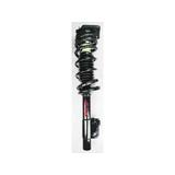 1999-2004 Oldsmobile Alero Rear Strut and Coil Spring Assembly - FCS Automotive