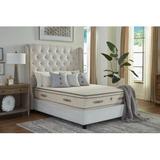 PlushBeds Botanical Bliss 10" Medium Latex Mattress, Size 80.0 H x 76.0 W x 10.0 D in | Wayfair BOTBLM1006