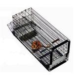 Pied Piper Small Rodent Live Trap 6" X 6" X 16"