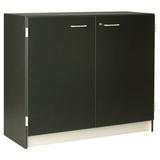 Stevens ID Systems Music Classroom Cabinet Wood in Gray, Size 41.0 H x 48.0 W x 20.0 D in | Wayfair 89302 484120 D-010
