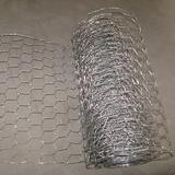 ZORO SELECT 4LVF6 Poultry Netting, Height 72 In, 50 Ft.