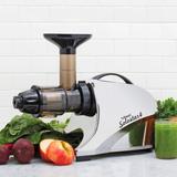 Tribest Solostar® Slow Masticating & Cold Press Juicer, Size 12.4 H x 17.0 W x 6.5 D in | Wayfair SS-4250-B