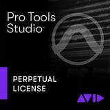 Avid Pro Tools Standard Perpetual License Audio and Music Creation Software (Ret 9938-30001-00