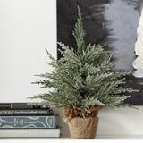 Wintry Cedar Petite Tree - Ballard Designs