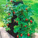 Grow Tub Strawberry Tower
