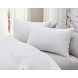 Alwyn Home Batiste Down Pillow Down & Feathers/100% Cotton, Size 20.0 H x 30.0 W x 5.0 D in | Wayfair ANEW3044 43862987