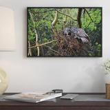 East Urban Home Great Gray Owl Pair Nesting, North America - Picture Frame Photograph Print on Canvas in Brown/Green | Wayfair EAUB4599 38516281