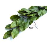 Gracie Oaks Southern Magnolia Garland Real ery in Green, Size 3.0 H x 37.0 W x 5.0 D in | Wayfair GRKS6673 41402319