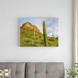 East Urban Home 'Organ Pipe Cactus Organ Pipe Cactus National Monument' Photographic Print on Canvas & Fabric in Green | Wayfair URBH8339 38406692
