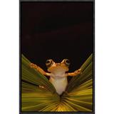 East Urban Home Chachi Tree Frog - Picture Frame Photograph Print on Canvas & Fabric in Black/Brown/Green, Size 18.0 H x 12.0 W x 1.5 D in Wayfair