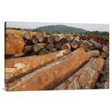 East Urban Home 'Logged Timber from the Tropical Rainforest, Cameroon' Photographic Print, Wood in White, Size 24.0 H x 36.0 W x 1.5 D in | Wayfair