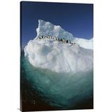 East Urban Home 'Adelie Penguin Group Riding Sculpted Iceberg, Terre Adelie Land, East Antarctica' Photographic Print, Wood in Blue | Wayfair