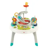 Fisher-Price 2-in-1 Sit-to-Stand Activity Center, Multicolor